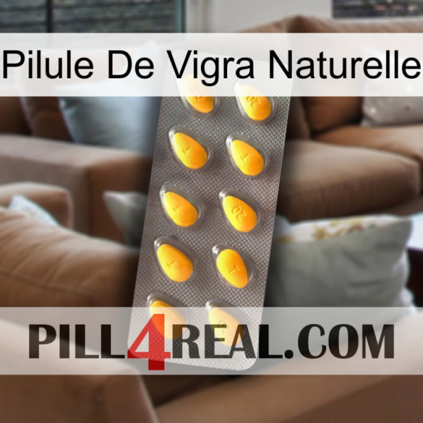 Natural Vigra Pill cialis1.jpg